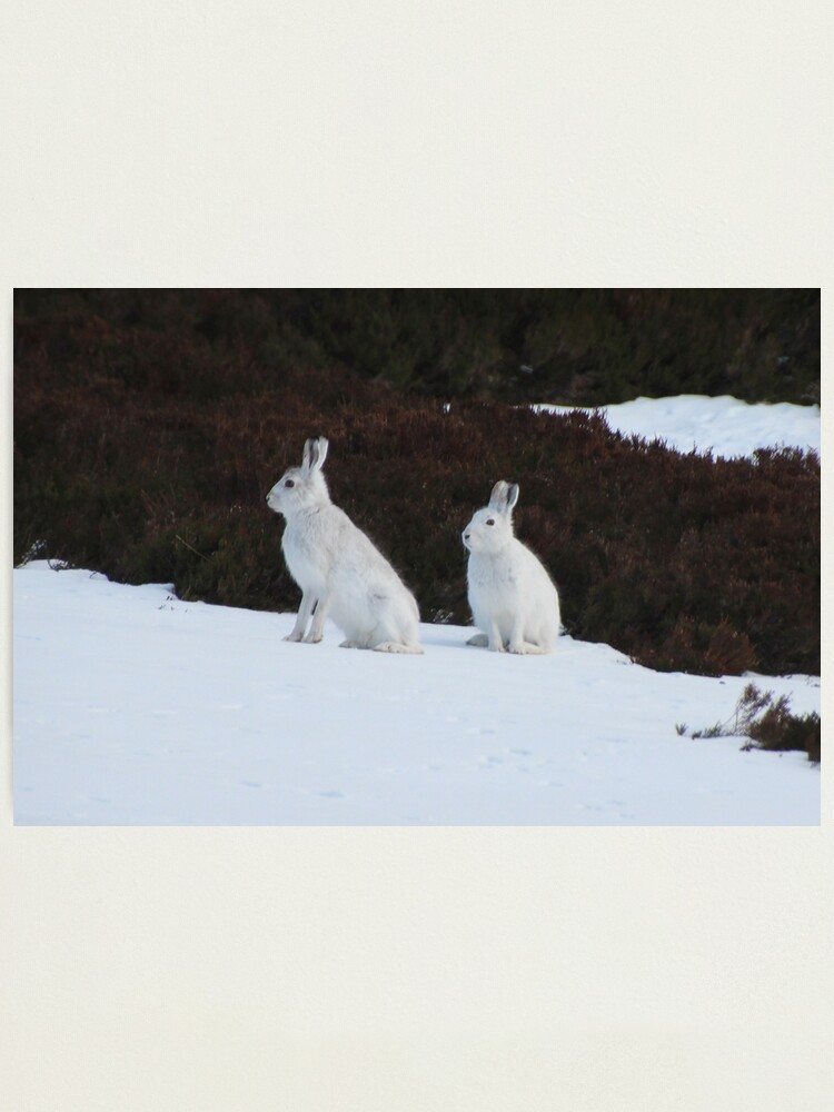 Alternate view of Winter coats Photographic Print