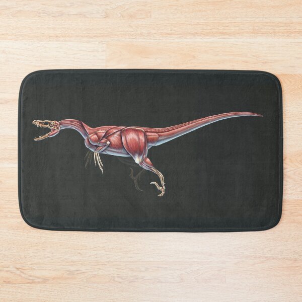 Item preview, Velociraptor Mongoliensis Muscle Study (No Labels) designed and sold by Thedragonofdoom.