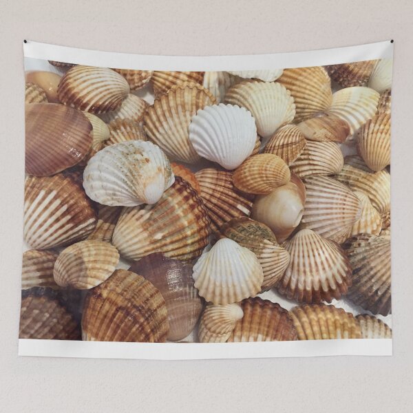 Item preview, Seashells designed and sold by Nadia Aftat.