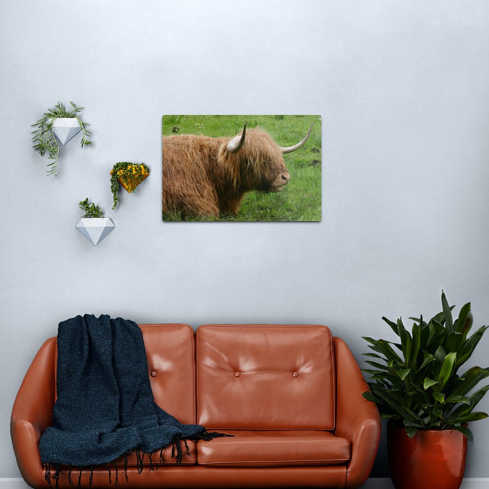 Chewing the cud Metal Print
