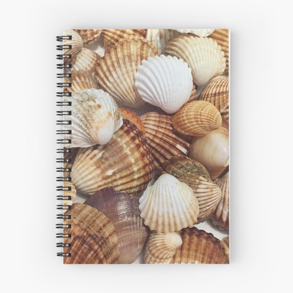 Item preview, Seashells designed and sold by Nadia Aftat.