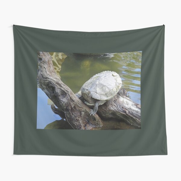 Item preview, Tree Trunk Turtle in Thailand designed and sold by cuisinecat2.