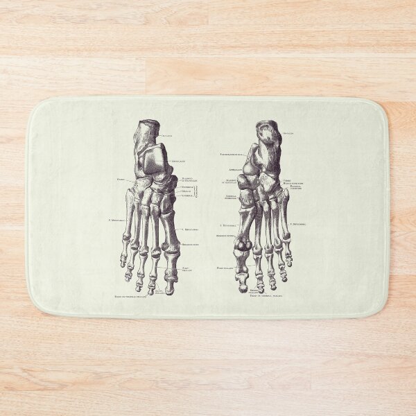 Item preview, Foot and Ankle Skeletal Diagram - Anatomy Poster 2 designed and sold by VAposters.