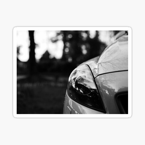 Shiny reflection of trees on the car Sticker