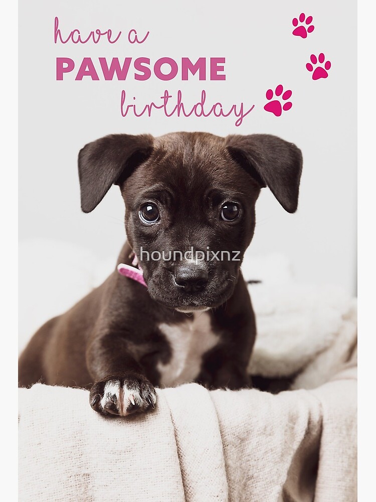 Have A Pawsome Birthday Puppy Art Board Print By Houndpixnz Redbubble