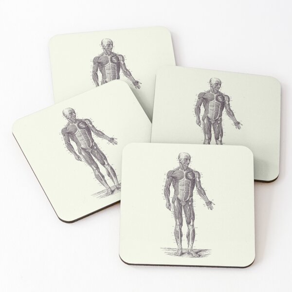 Item preview, Human Muscle System - Vintage Anatomy 2 designed and sold by VAposters.