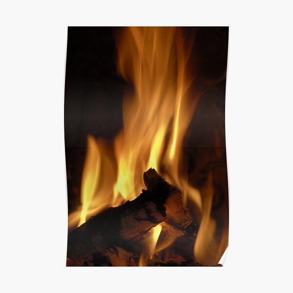 Flames of burning fire in fireplace Poster