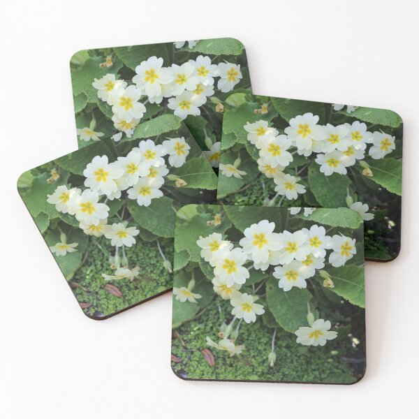 Item preview, Common Primroses designed and sold by pinkal.