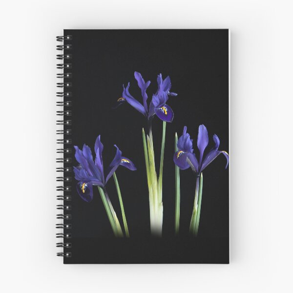 Item preview, Iris reticulata designed and sold by Nethycurl.