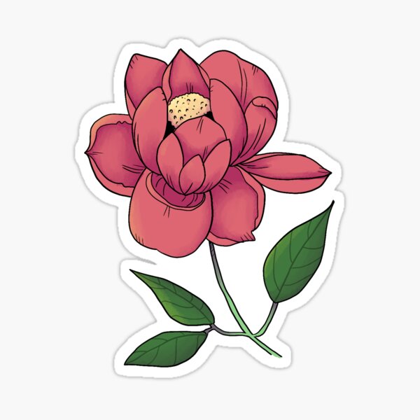 Peony Sticker
