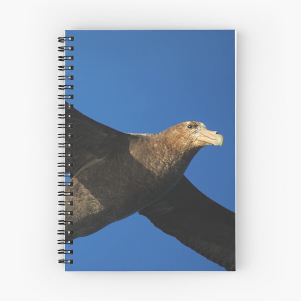 Item preview, Giant Petrel Flying High designed and sold by Carole-Anne.