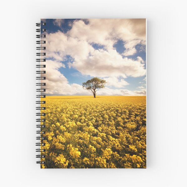 Item preview, lone tree in a rapeseed field designed and sold by paulgrand.