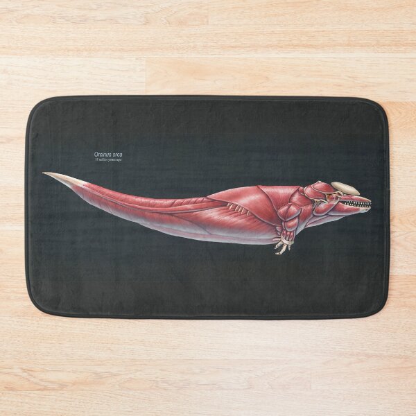 Item preview, Orcinus Orca Muscle Study designed and sold by Thedragonofdoom.