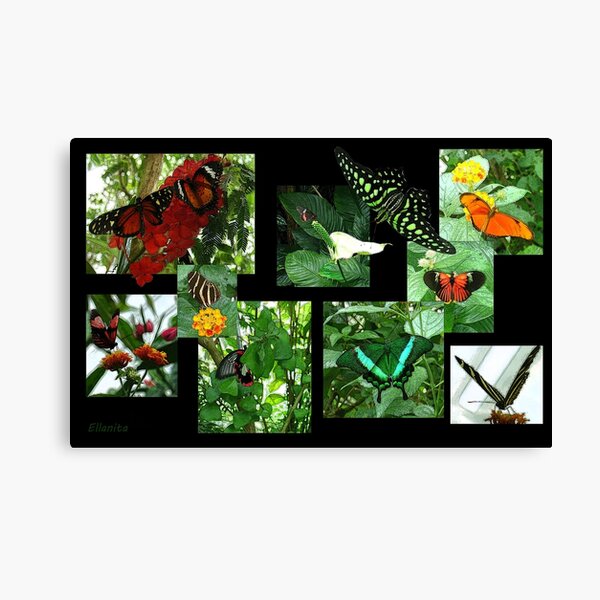 The Lightness of Being Canvas Print