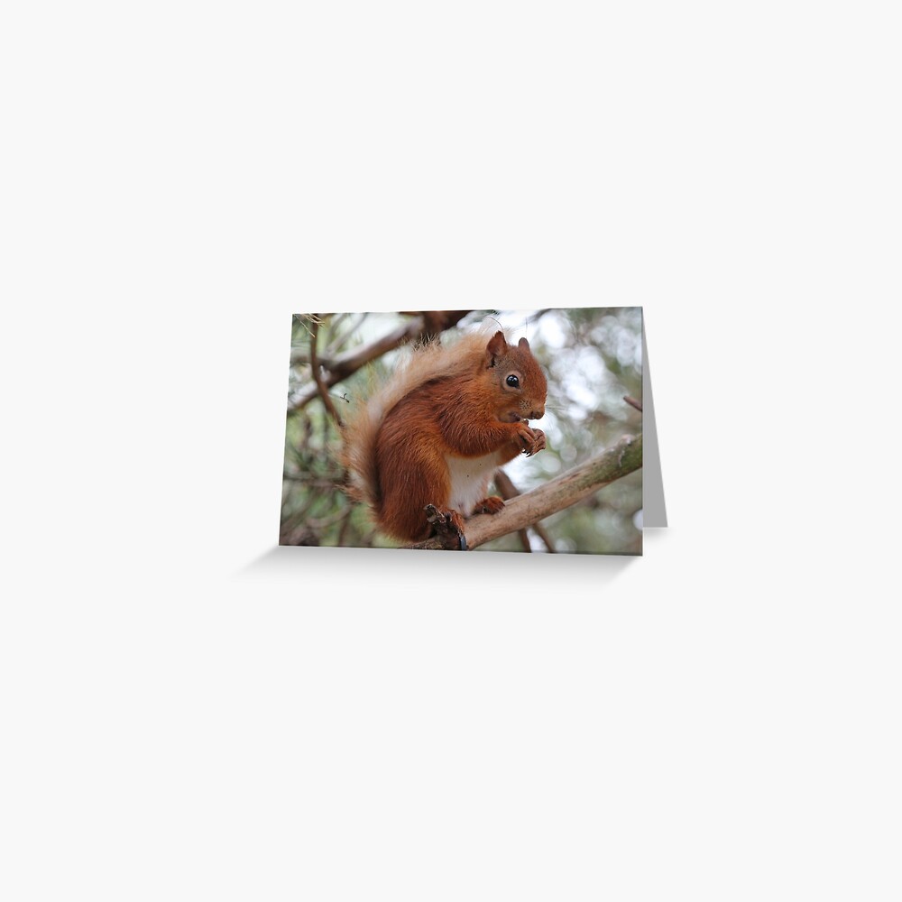 Item preview, Greeting Card designed and sold by orcadia.