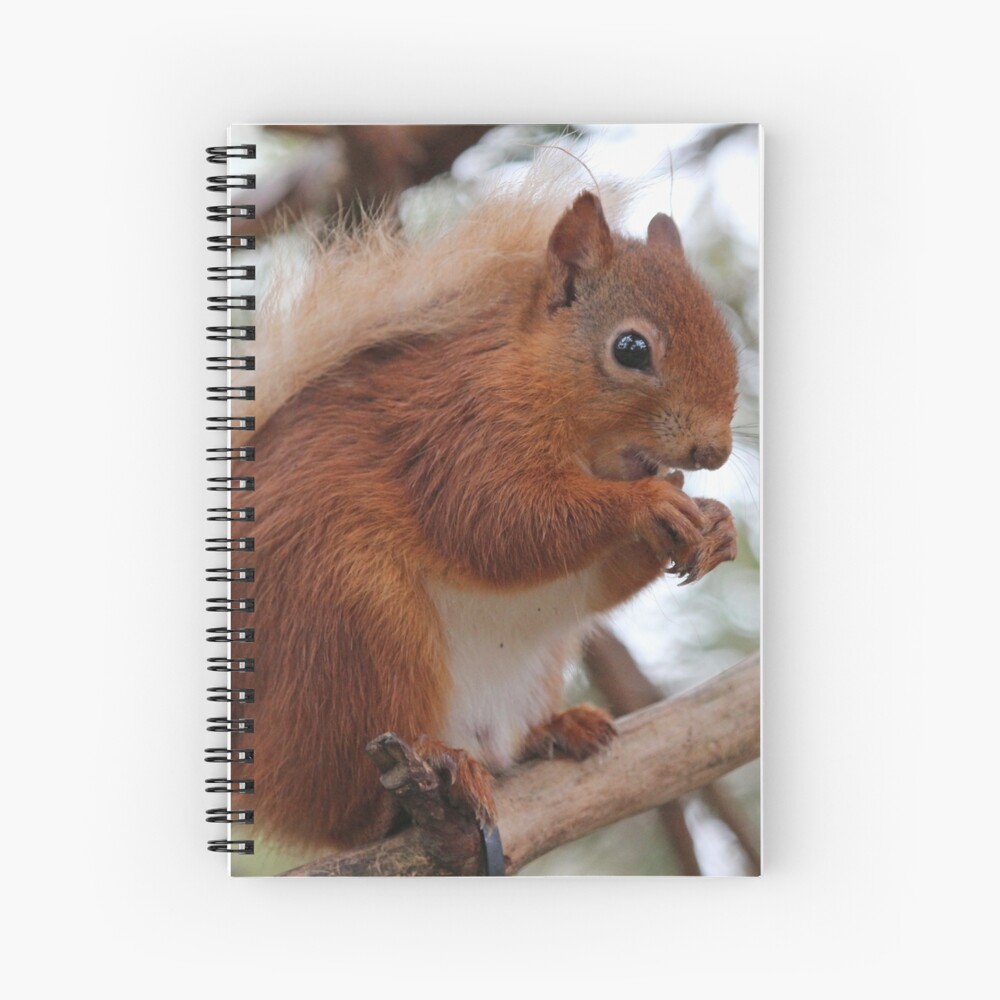 Item preview, Spiral Notebook designed and sold by orcadia.