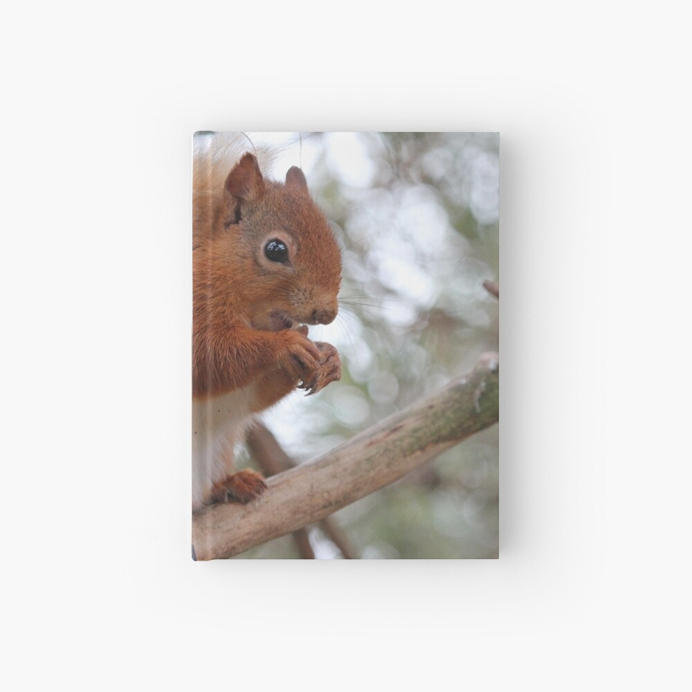 Item preview, Hardcover Journal designed and sold by orcadia.