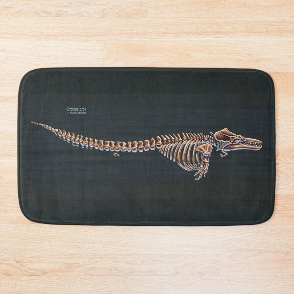Item preview, Orcinus Orca Skeletal Study designed and sold by Thedragonofdoom.