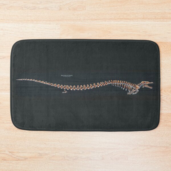Item preview, Basilosaurus Cetoides Skeletal Study designed and sold by Thedragonofdoom.