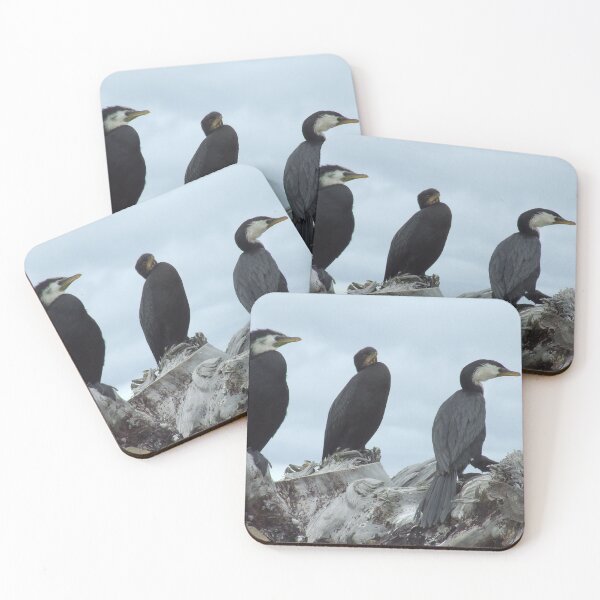 Item preview, A birdie trio designed and sold by aligata1970.