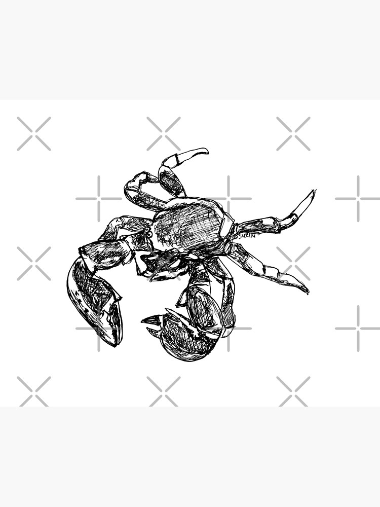 Maria the Crab by Wildcard-Sue