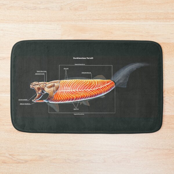 Item preview, Dunkleosteus Terrelli Muscle Study designed and sold by Thedragonofdoom.