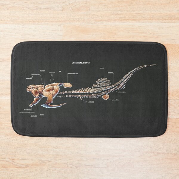 Item preview, Dunkleosteus Terrelli Skeleton Study designed and sold by Thedragonofdoom.