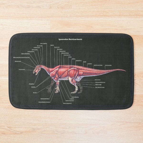 Item preview, Iguanodon Bernissartensis Muscle Study designed and sold by Thedragonofdoom.