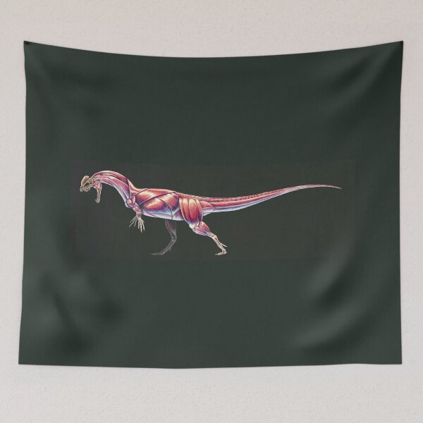 Item preview, Dilophosaurus Wetherilli Muscle Study (No Labels) designed and sold by Thedragonofdoom.