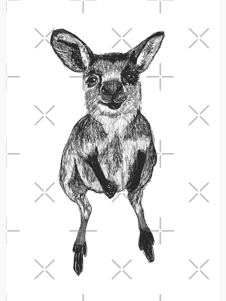 Josephine the Baby Kangaroo by Wildcard-Sue