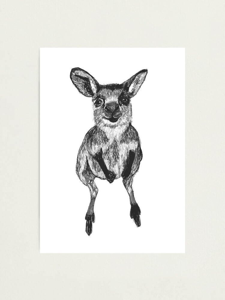 Alternate view of Josephine the Baby Kangaroo Photographic Print