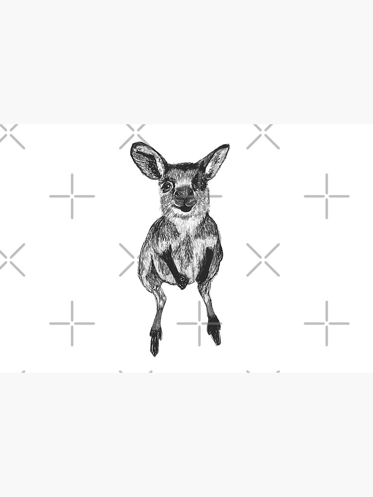 Josephine the Baby Kangaroo by Wildcard-Sue
