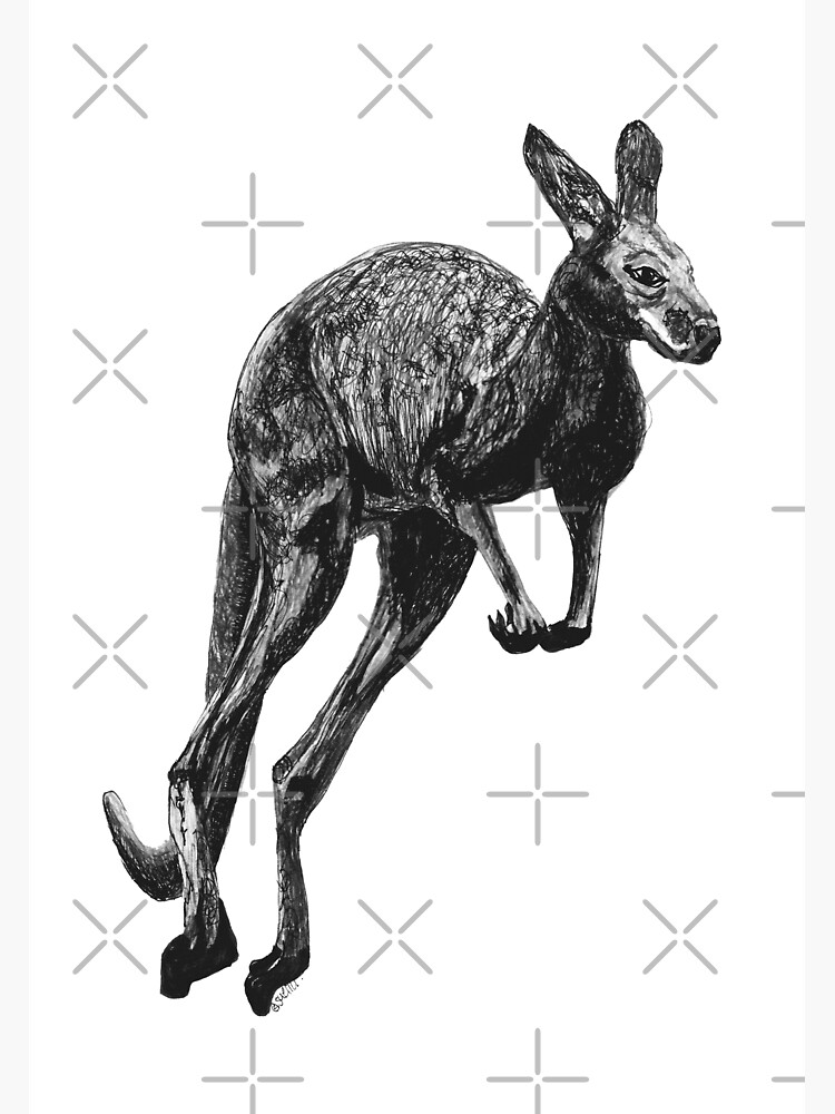 Johnny the Kangaroo by Wildcard-Sue