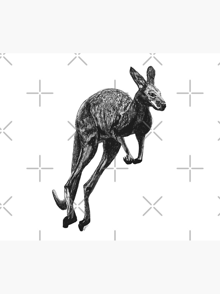 Johnny the Kangaroo by Wildcard-Sue