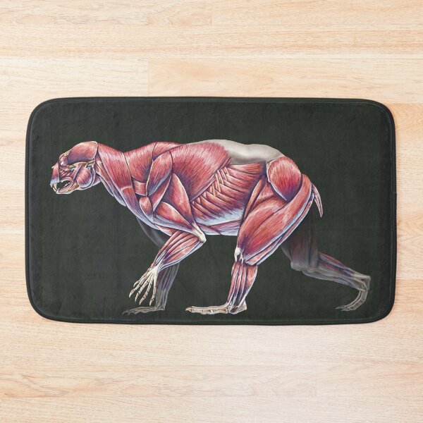 Item preview, Arctodus Simus Muscle Study (No Labels) designed and sold by Thedragonofdoom.