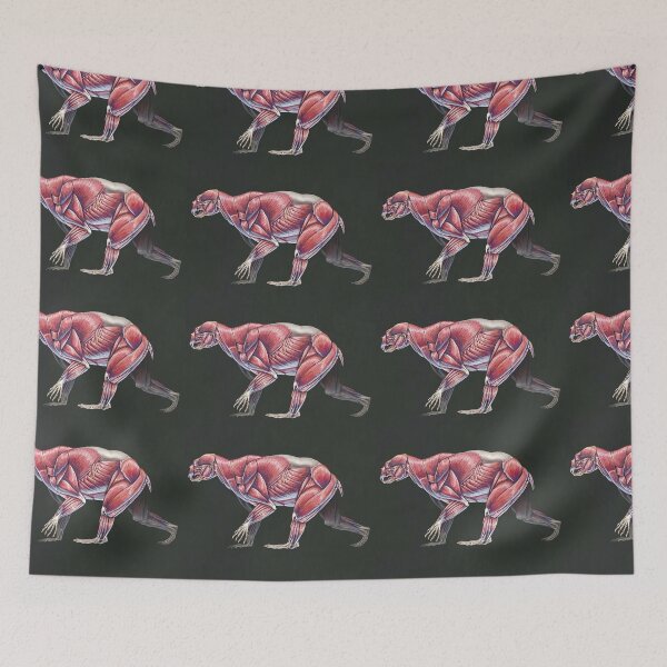 Item preview, Arctodus Simus Muscle Study (No Labels) designed and sold by Thedragonofdoom.