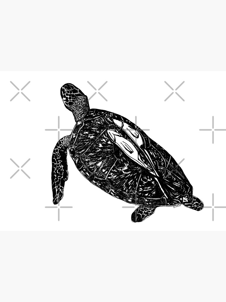 Lucy the Sea Turtle with Remora by Wildcard-Sue