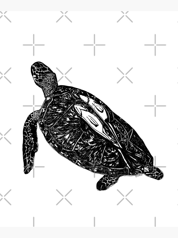 Lucy the Sea Turtle with Remora by Wildcard-Sue