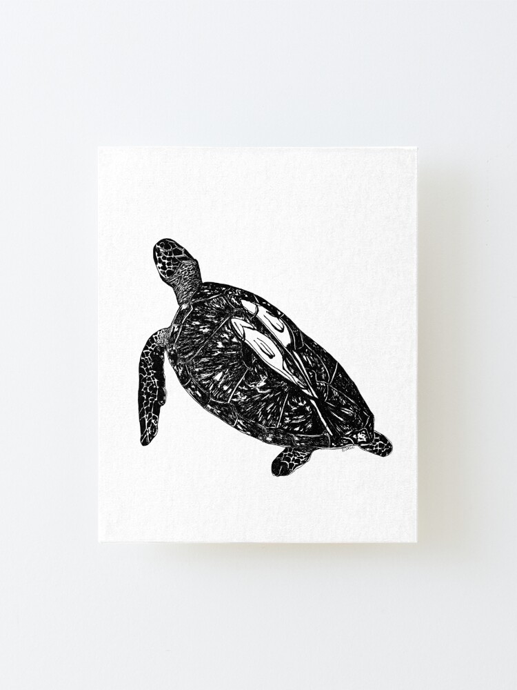 Alternate view of Lucy the Sea Turtle with Remora Mounted Print