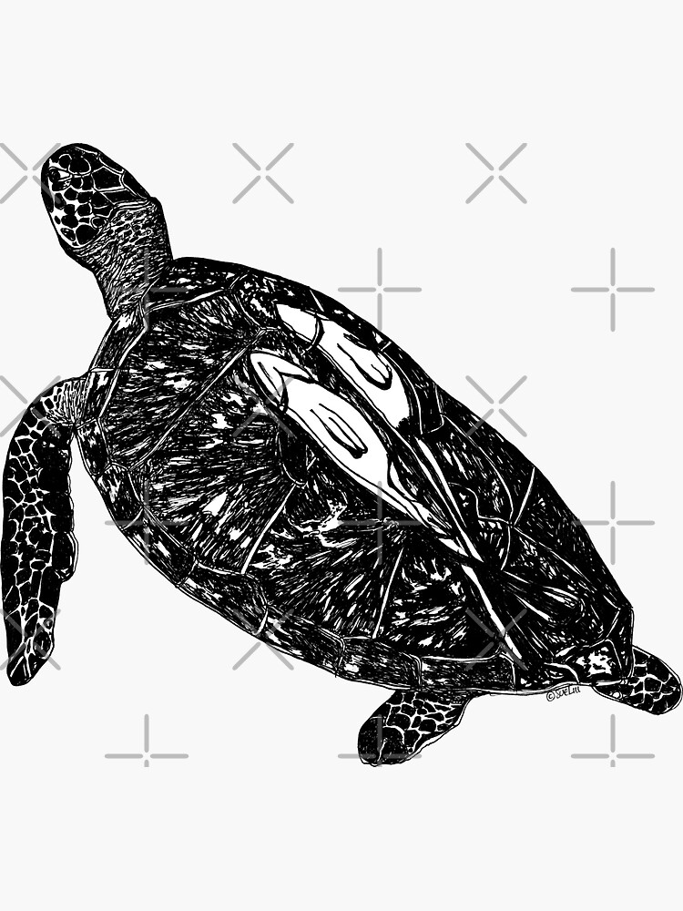 Lucy the Sea Turtle with Remora by Wildcard-Sue