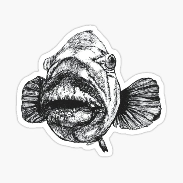 Barry the Blue Groper Sticker