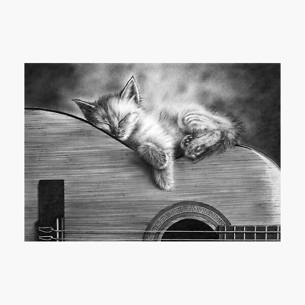 Unplugged Photographic Print