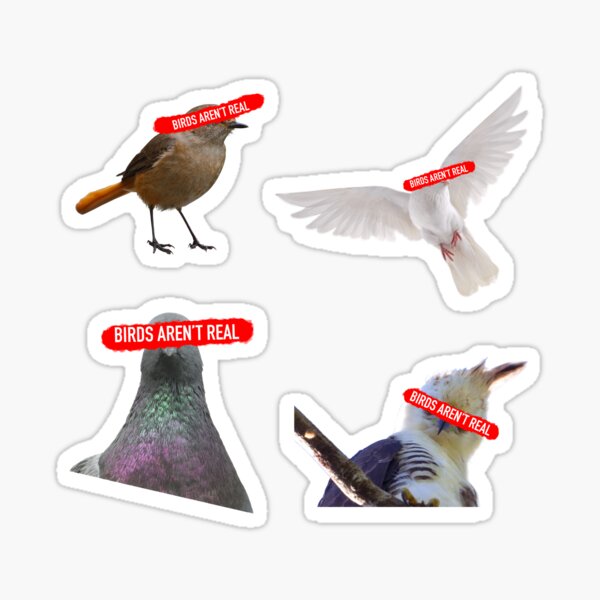 Birds Aren't Real Sticker Pack Sticker