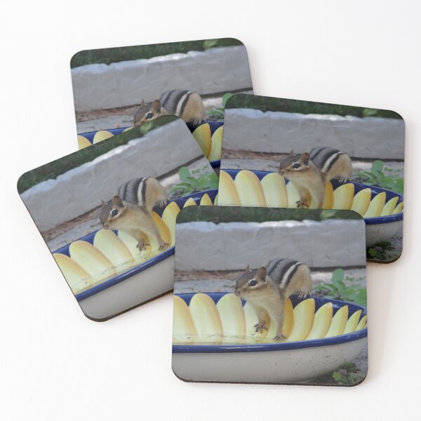 Item preview, Thinking chipmunk designed and sold by cuisinecat2.