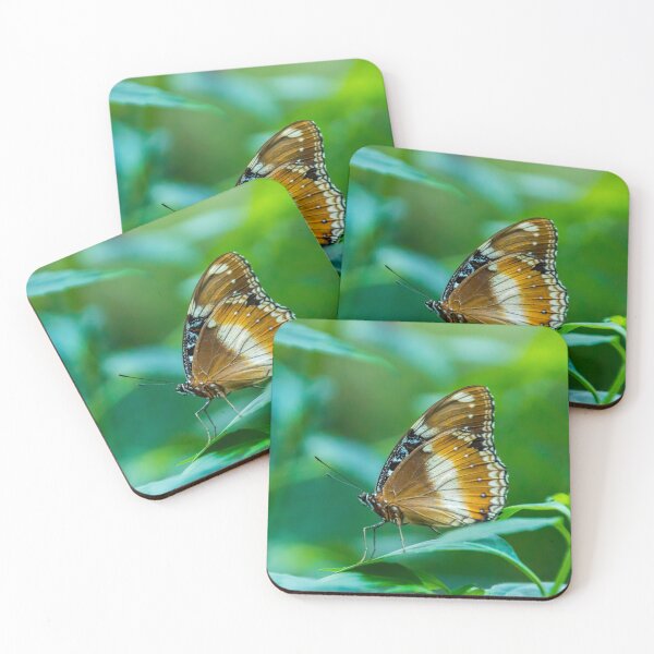 Item preview, Eggfly Butterfly designed and sold by Leanne Van Den Berg.