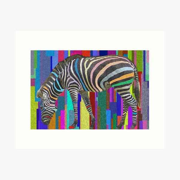 Rainbow Zebra - Art Prints