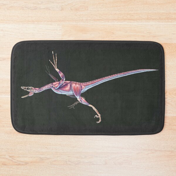 Item preview, Microraptor Gui Muscle Study (No Labels) designed and sold by Thedragonofdoom.