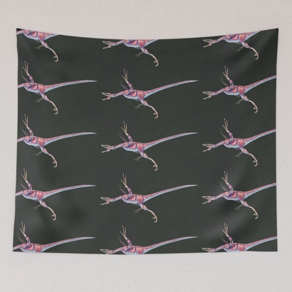 Item preview, Microraptor Gui Muscle Study (No Labels) designed and sold by Thedragonofdoom.