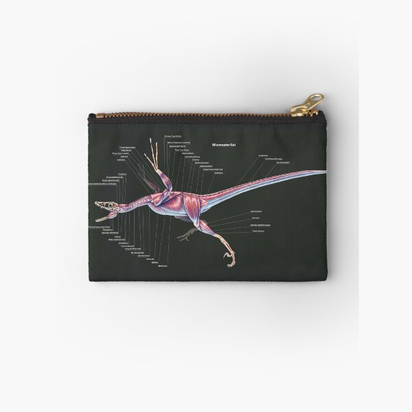 Item preview, Microraptor Gui Muscle Study designed and sold by Thedragonofdoom.