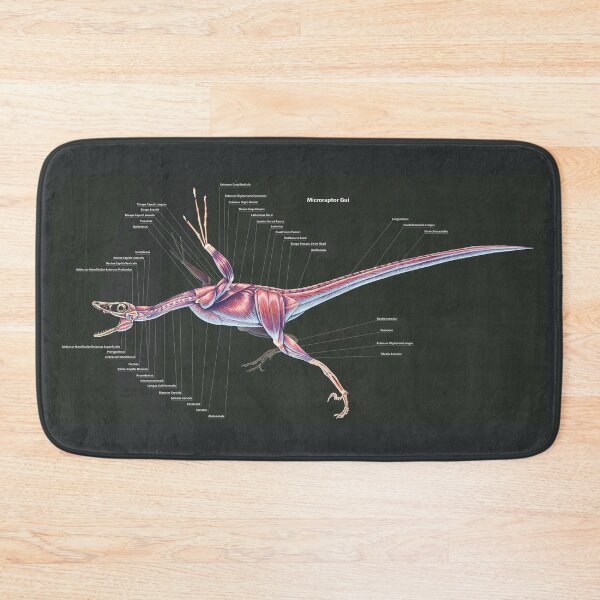 Item preview, Microraptor Gui Muscle Study designed and sold by Thedragonofdoom.